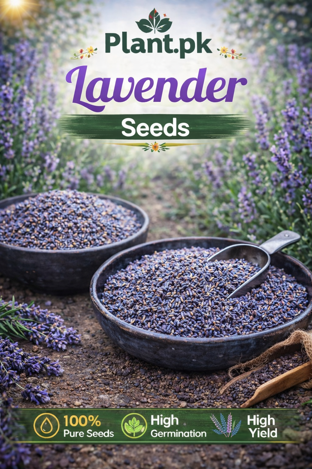 Lavender Seeds (Lavandula) - Buy Online | Herb Seeds | Plant.pk